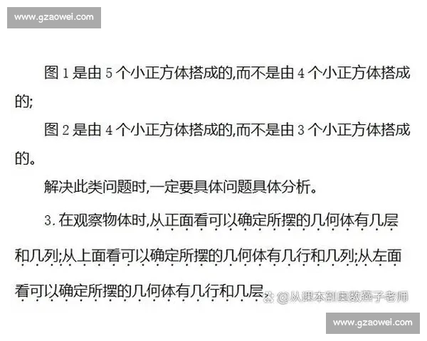 清水与大为多维对比解析：实力风格与发展路径的全面观察
